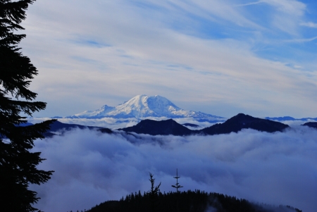 Mt. Rainier