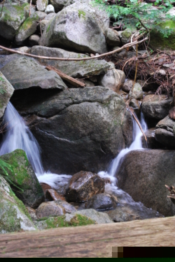 Mountain Creek